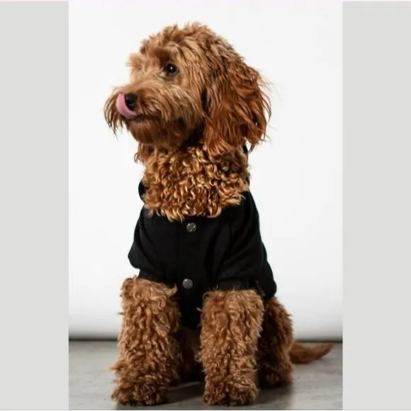 Pets Hoodie | Let's Party Witches Graphic | Black Purple Soft Cotton