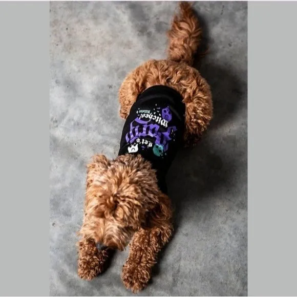 Pets Hoodie | Let's Party Witches Graphic | Black Purple Soft Cotton