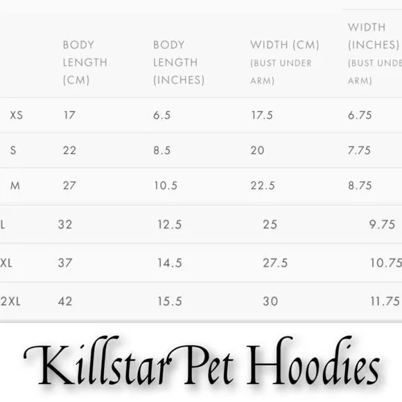 Pets Hoodie | Let's Party Witches Graphic | Black Purple Soft Cotton