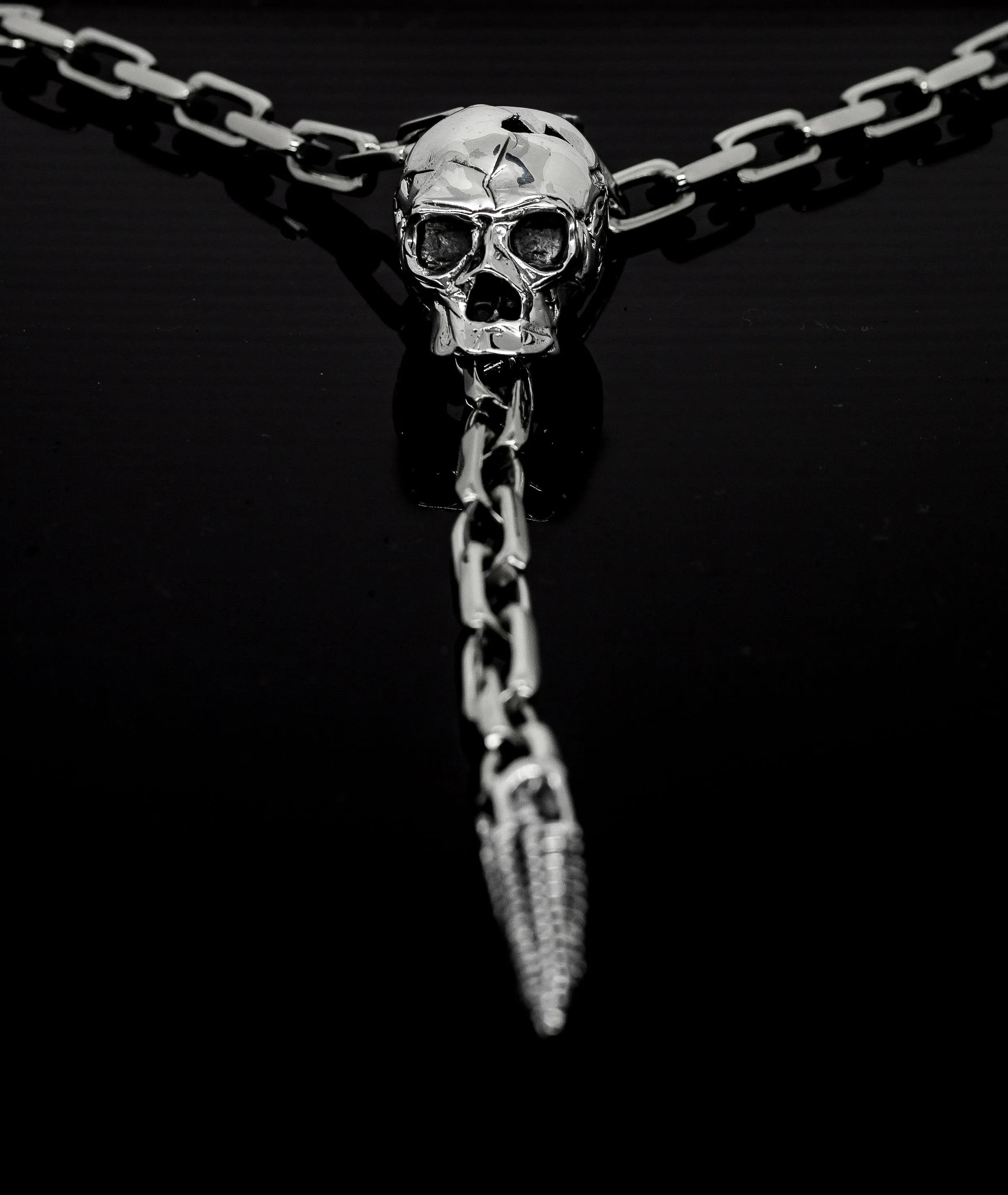 Silver Skull w/ Alien Spine Lariat